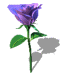 紫蜘蛛 日期:2014-07-18 11:17:35