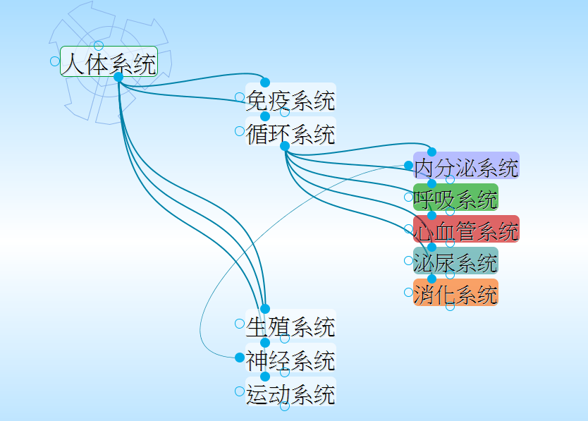 人体八大系统 简图图片