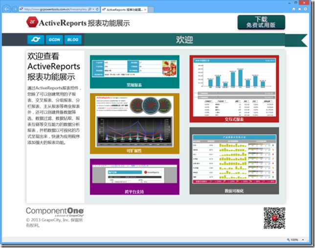 ActiveReports 报表功能展示