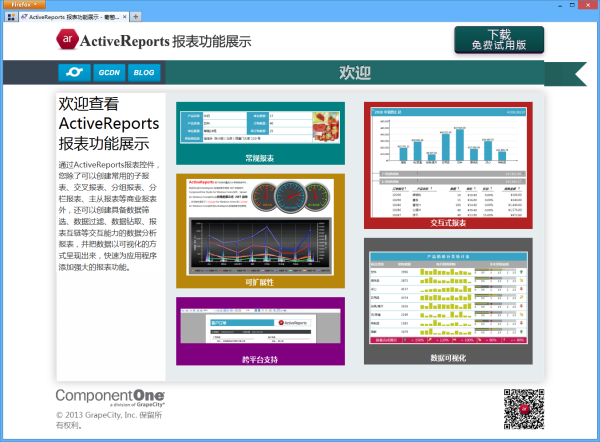 ActiveReports 报表应用教程 (8)---交互式报表之动态过滤