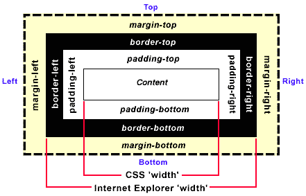 Css Padding Margin Border属性详解 Ruthless 博客园