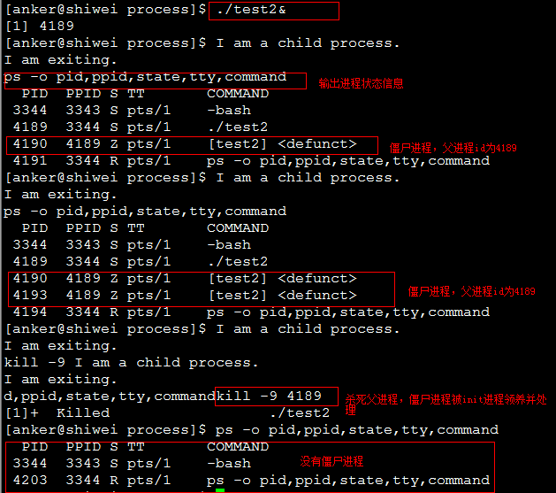 孤儿进程与僵尸进程[总结]「建议收藏」