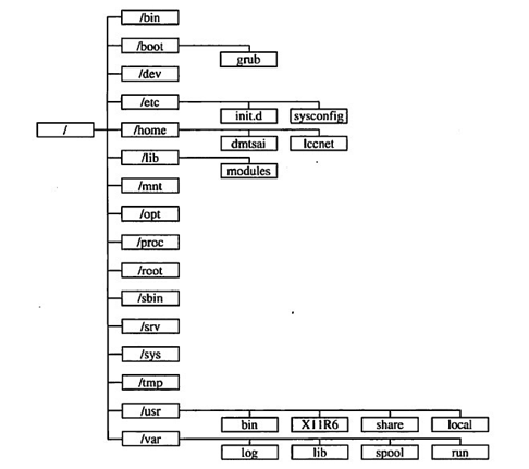 Linux目录树结构