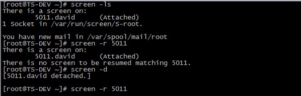 转载：linux screen 命令详解教程