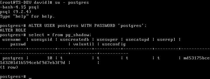 PostgreSQL 安装配置 (亲测可用)第5张