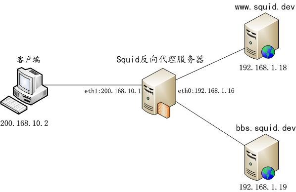 squid-reverse - domain