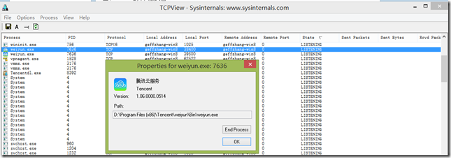 tcpview icmp
