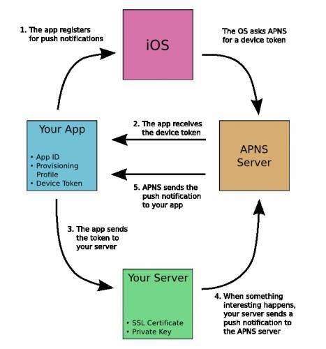 PushNotification_FlowChartDetail