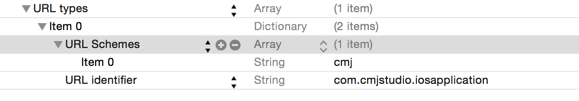 iOSApplication_URLTypes
