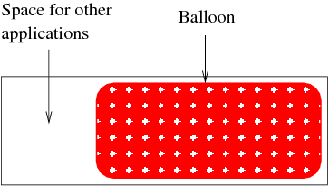 balloon-expanded