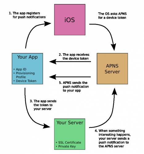 IOS推送交互具体过程