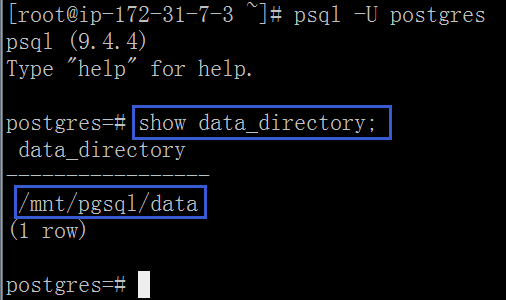 ef psql commands