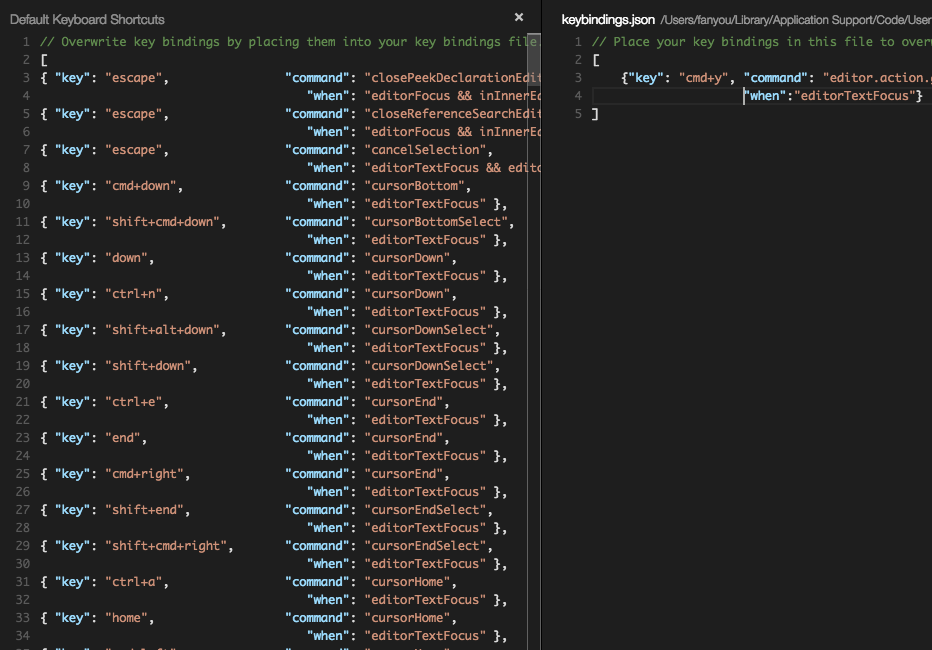 visual json mac