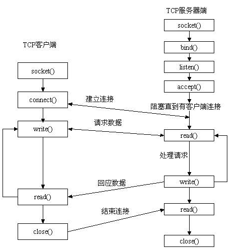 在這裡插入圖片描述