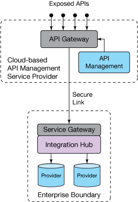 基于云的 API 管理服务提供商